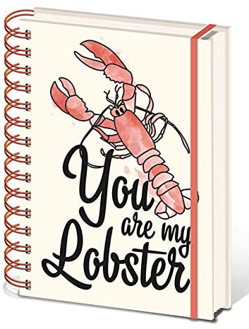 Friends TV Series Hardback A5 Notebook 'Lobster' Official Merchandise NEW UK