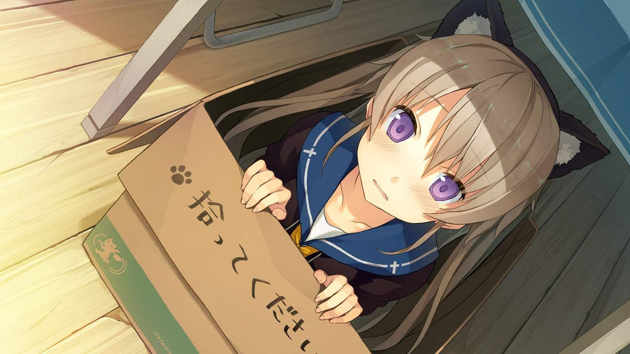 Aokana: Four Rhythms Across The Blue - Limited Edition (Nintendo Switch)