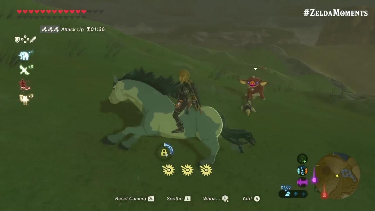The Legend of Zelda: Breath of the Wild (Switch)