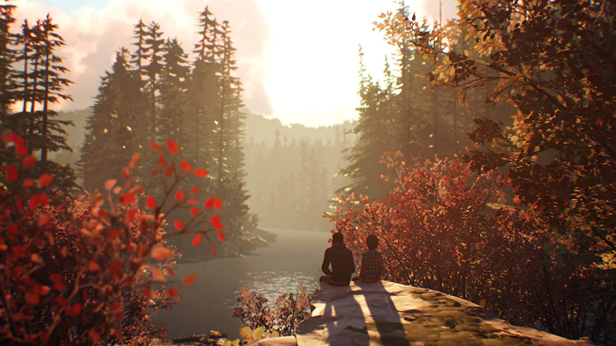 Life Is Strange 2 (Xbox One)