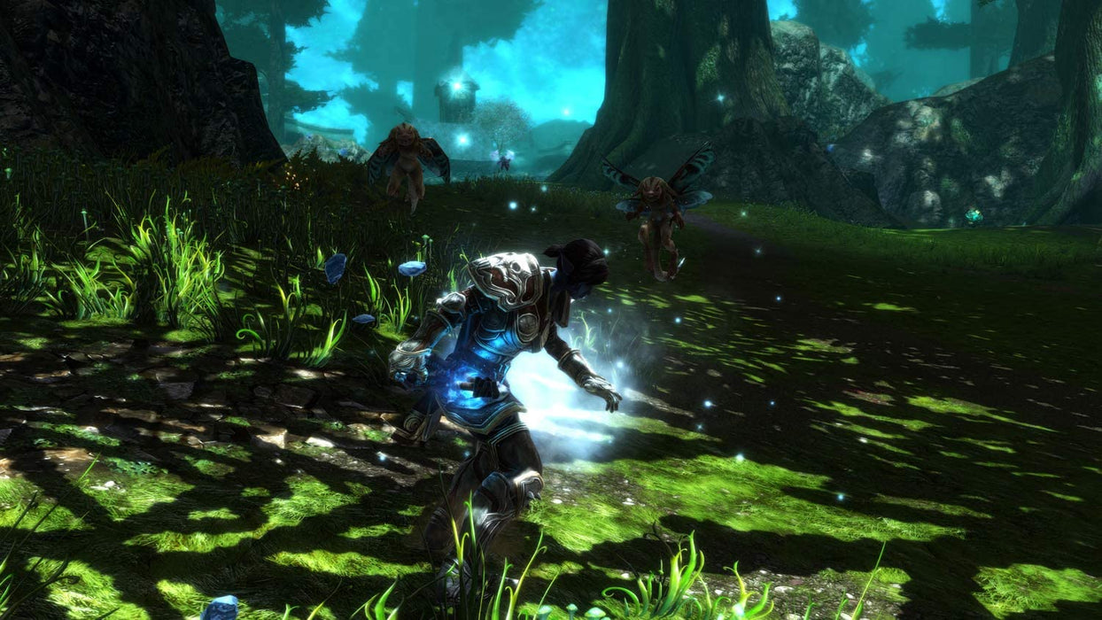 Kingdoms Of Amalur Re-Reckoning (PC)