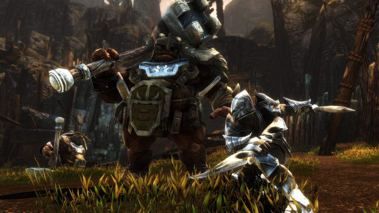 Kingdoms Of Amalur Re-Reckoning (PC)
