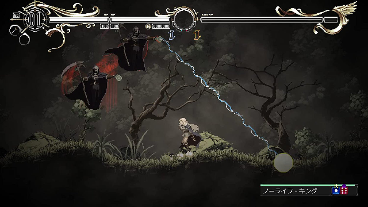 Record of Lodoss War: Deedlit in Wonder Labyrinth (Switch)