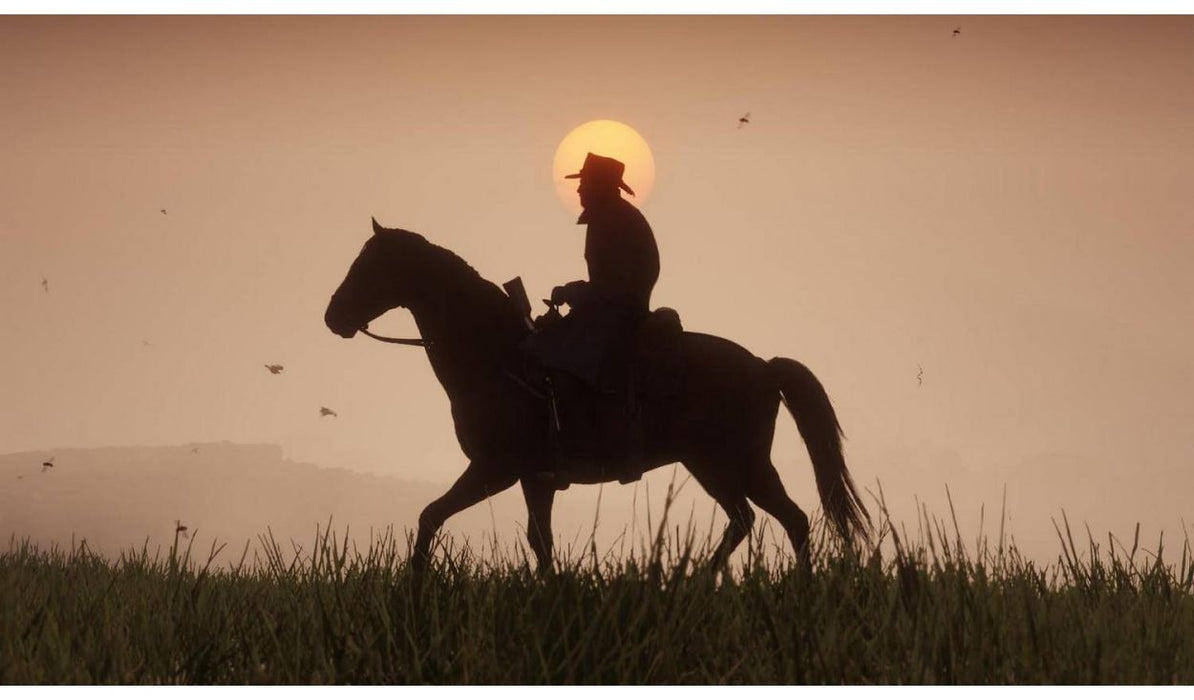 Red Dead Redemption 2 (Xbox One)