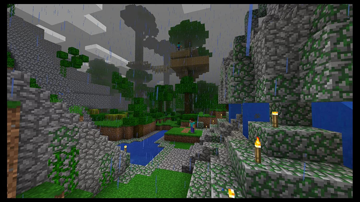 Minecraft (Switch)