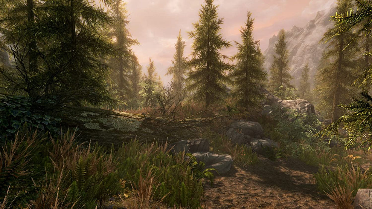 The Elder Scrolls V: Skyrim - Special Edition (PS4)