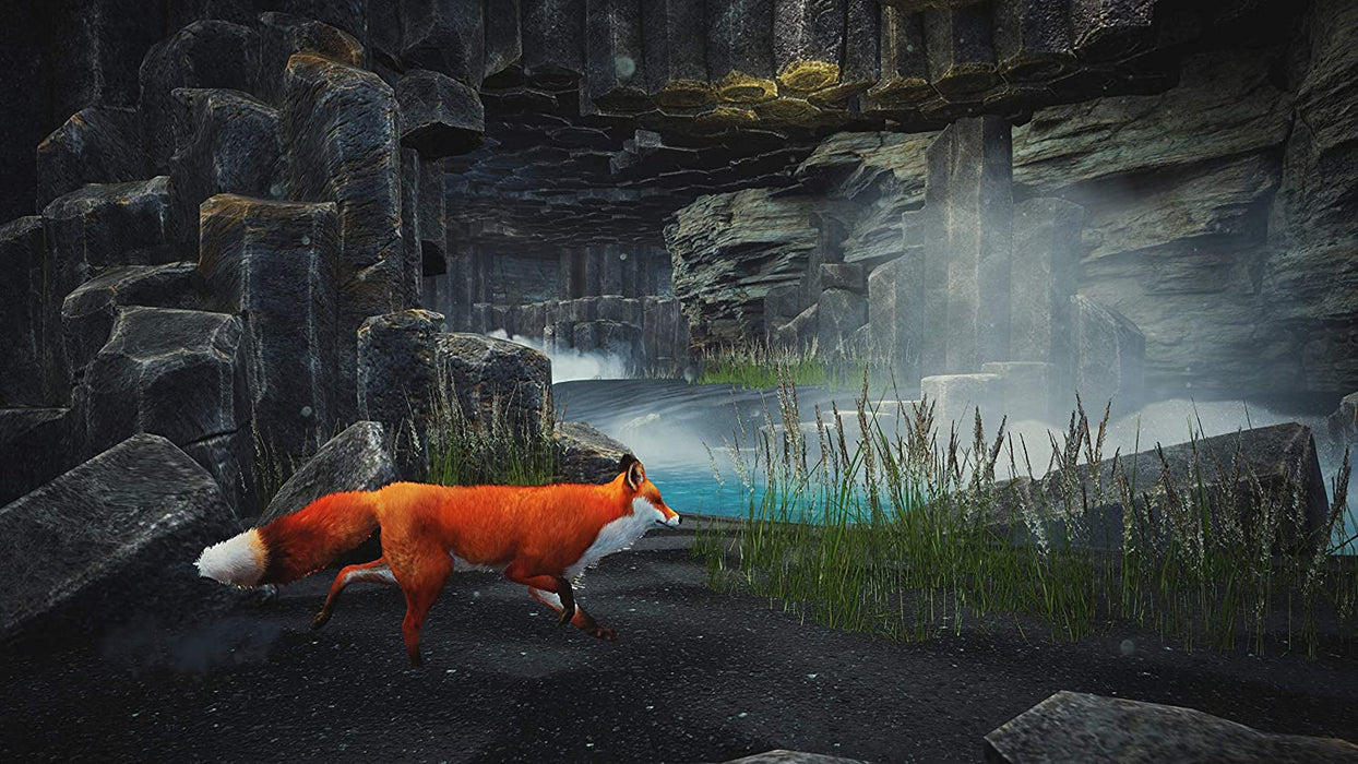 Spirit Of The North Enhanced Edition (PS5)