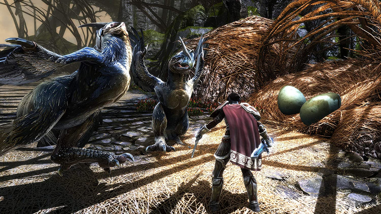 Kingdoms Of Amalur Re-Reckoning (PS4)