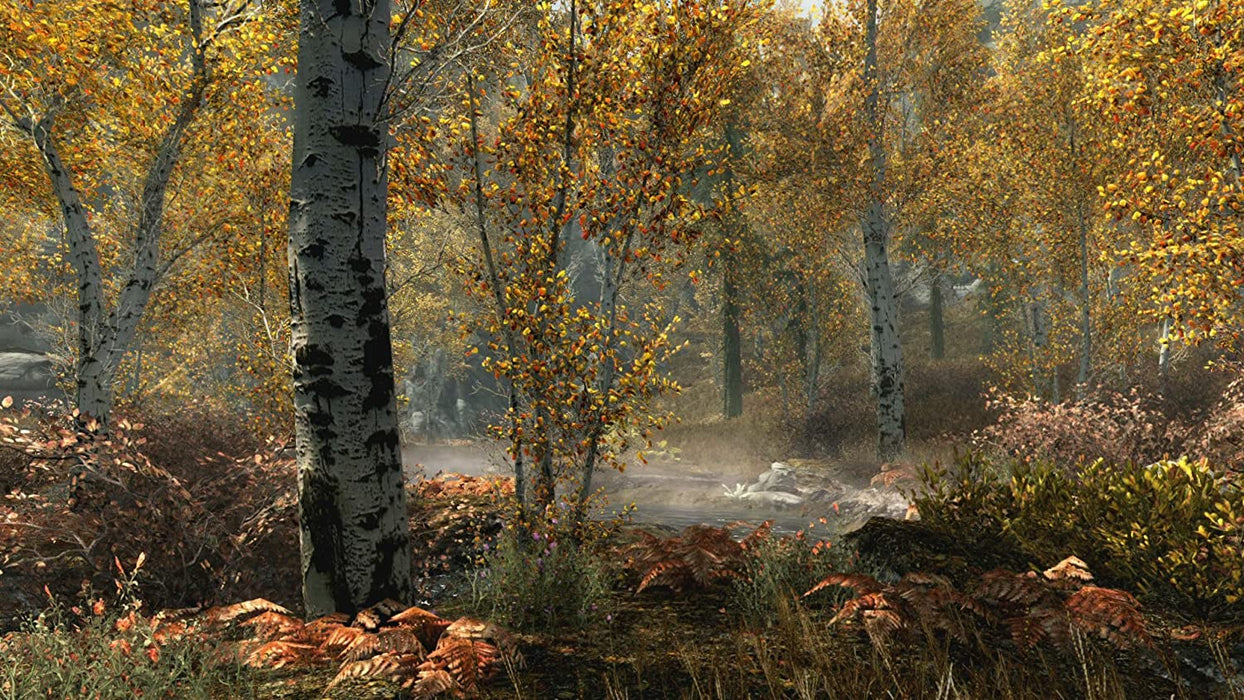 The Elder Scrolls V: Skyrim - Special Edition (PS4)