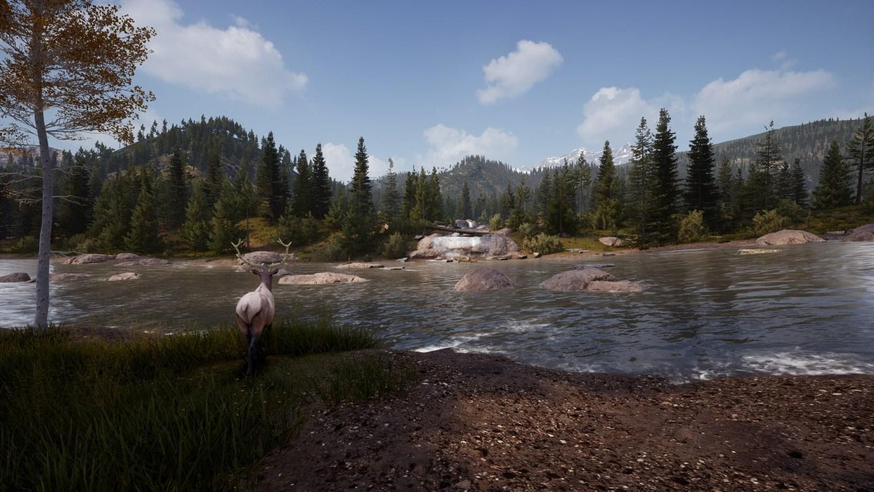 Hunting Simulator 2 (Xbox Series X)