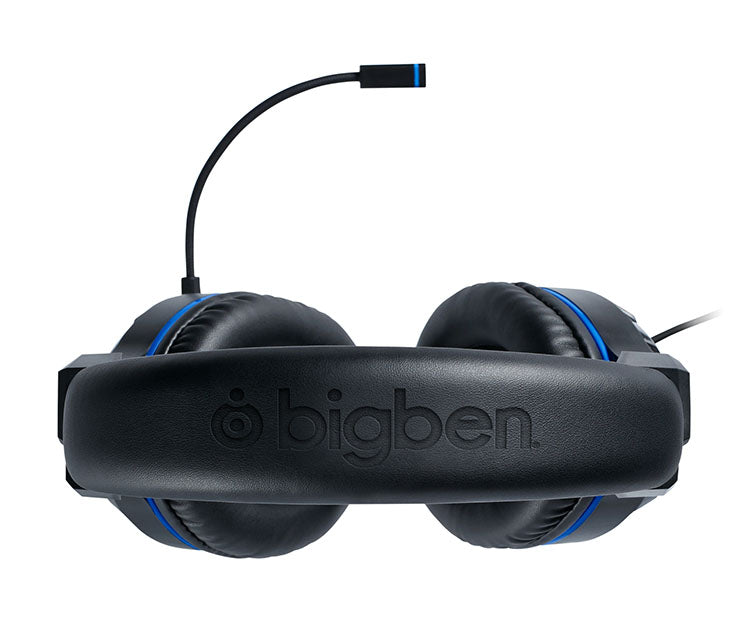 SONY OFFICIAL HEADSET V3