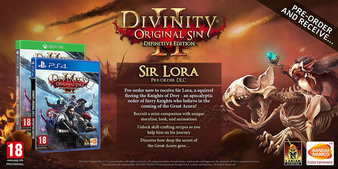 Divinity Original Sin 2 - Definitive Edition (PS4)
